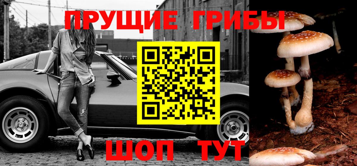 Добрянка  Псилоцибиновые грибы GOLDEN TEACHER  как найти   Вход с VPN  Галлюциногенные грибы Psilocybine cubensis 